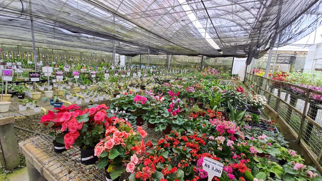Estudio 427 Teresopolis Ngoại thất bức ảnh